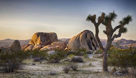 Plumber - Joshua Tree, CA