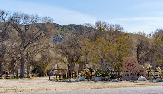 Plumber - Morongo Basin, CA