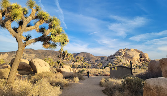 Plumber - Twentynine Palms, CA